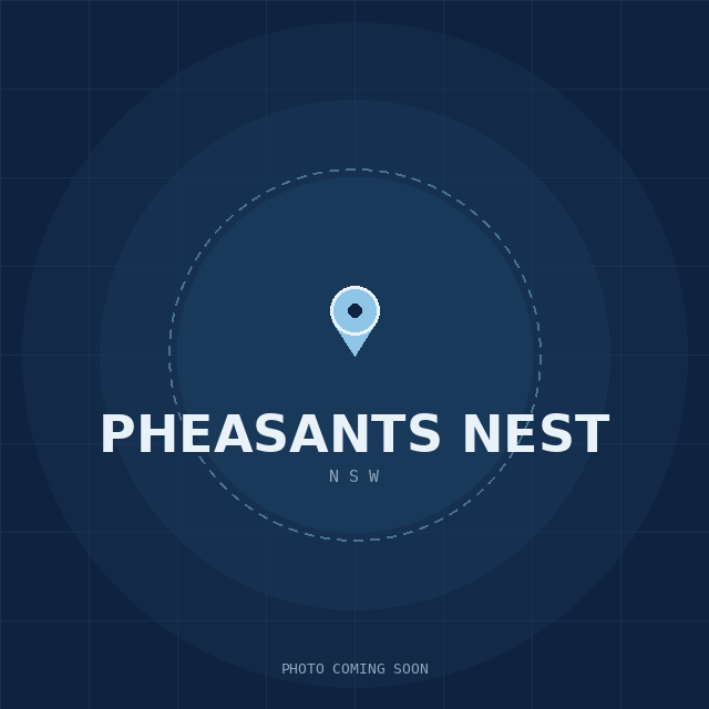 Map showing the Pheasants Nest, NSW suburb boundary